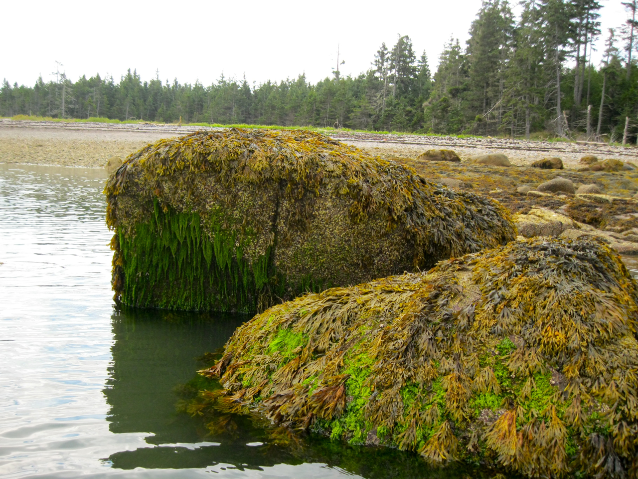 kimball island s/v Full Monty